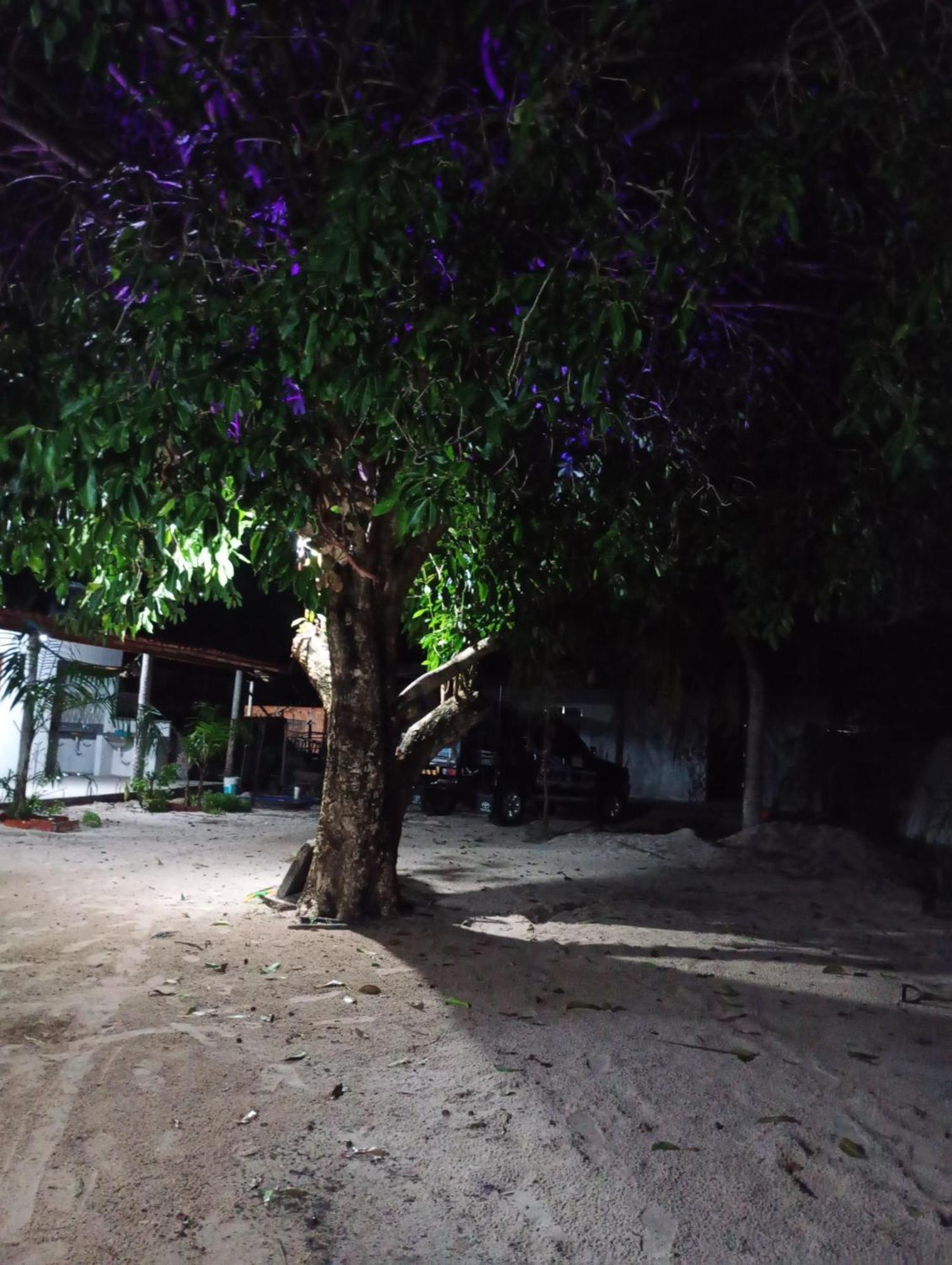 Hostel E Camping Na Rua Das Flores Santo Amaro do Maranhao Екстериор снимка