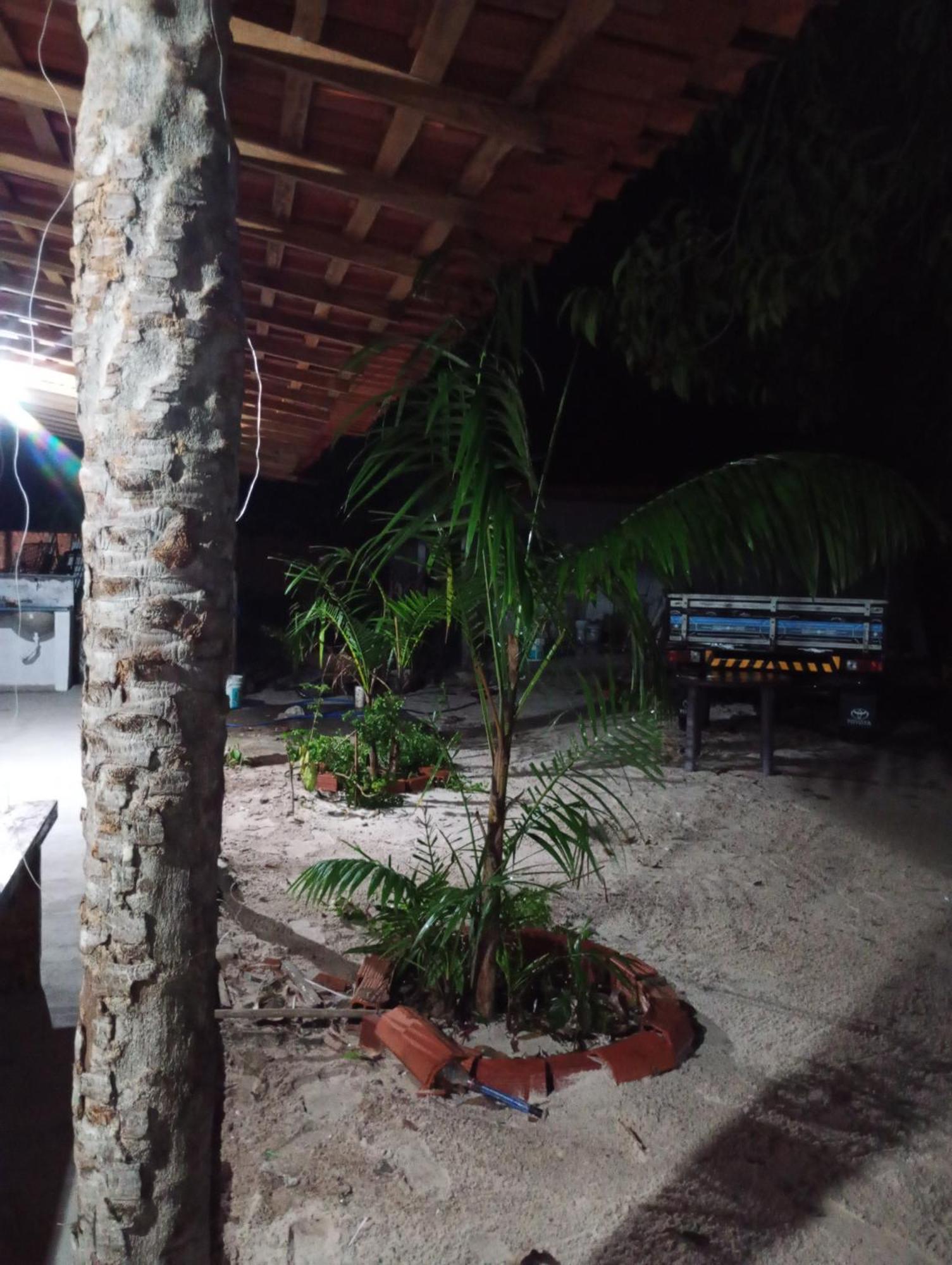 Hostel E Camping Na Rua Das Flores Santo Amaro do Maranhao Екстериор снимка