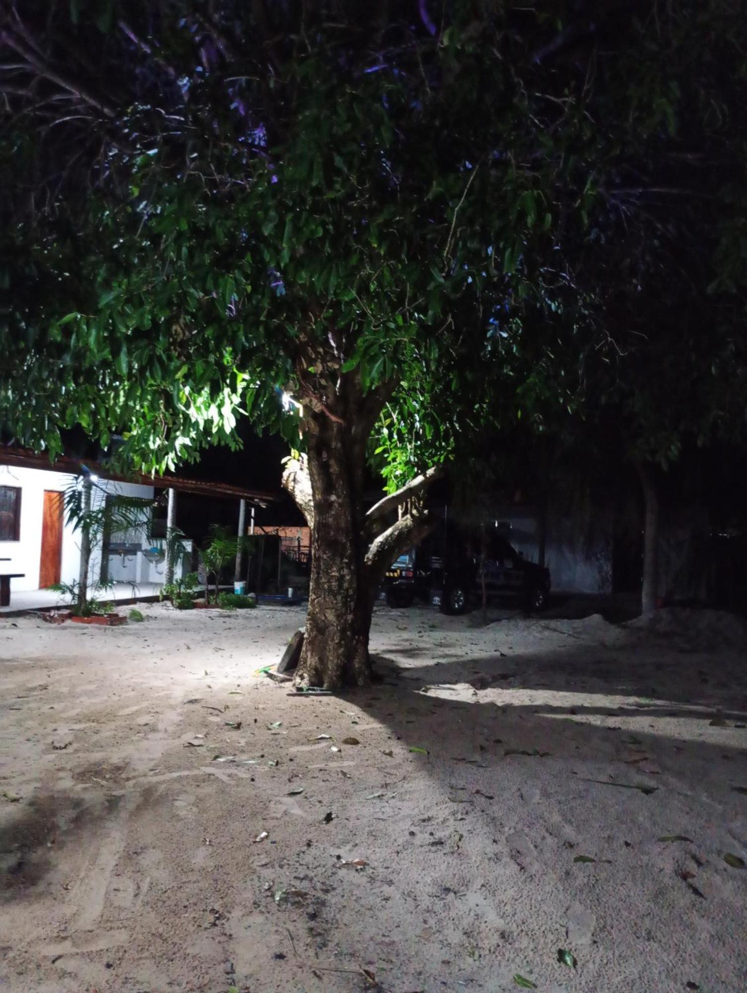 Hostel E Camping Na Rua Das Flores Santo Amaro do Maranhao Екстериор снимка