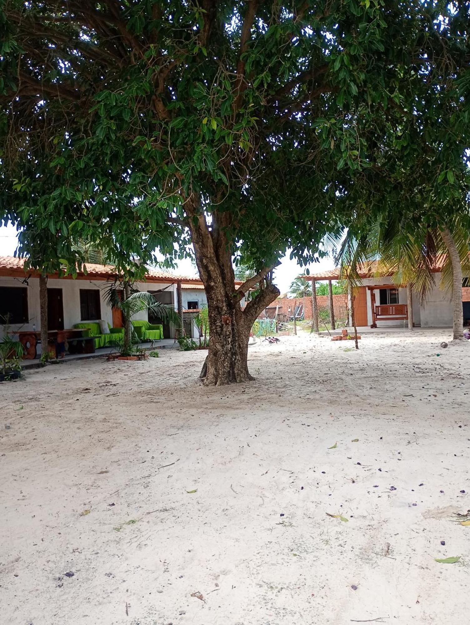 Hostel E Camping Na Rua Das Flores Santo Amaro do Maranhao Екстериор снимка