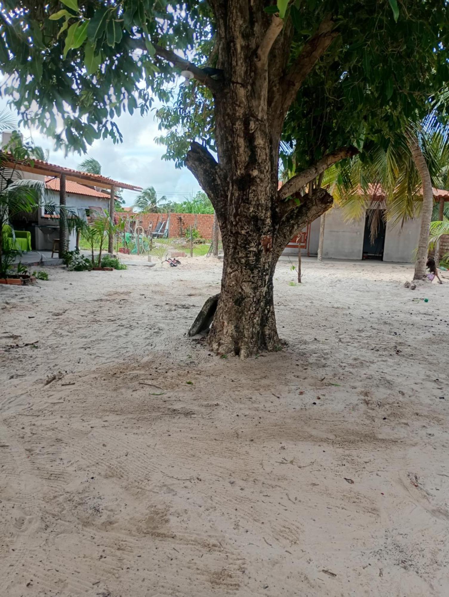 Hostel E Camping Na Rua Das Flores Santo Amaro do Maranhao Екстериор снимка